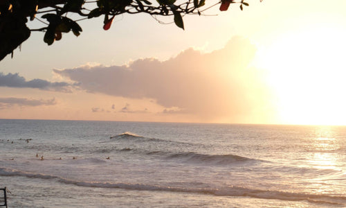 The North Shore Beach Hale