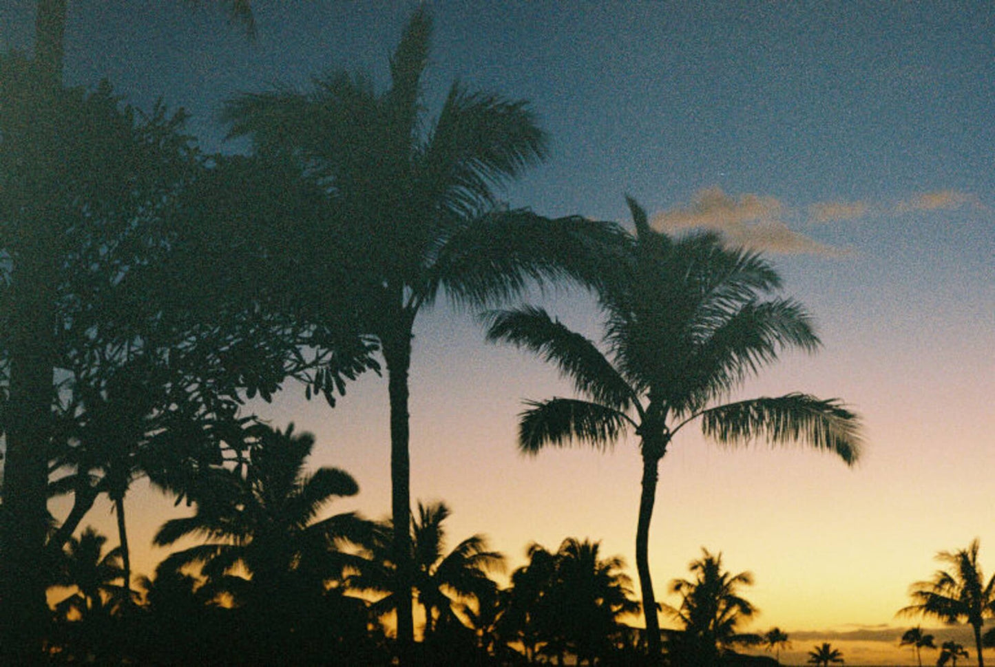 The North Shore Imua Ohana House