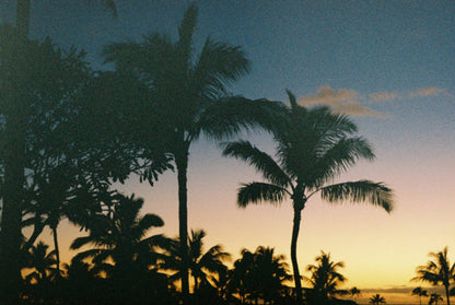 The North Shore Imua Ohana House