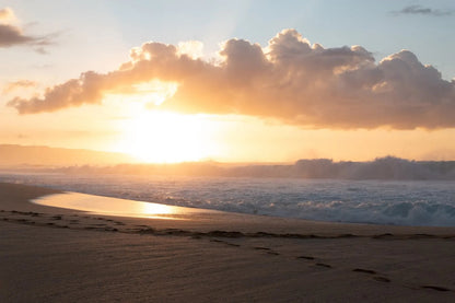 Surf Club