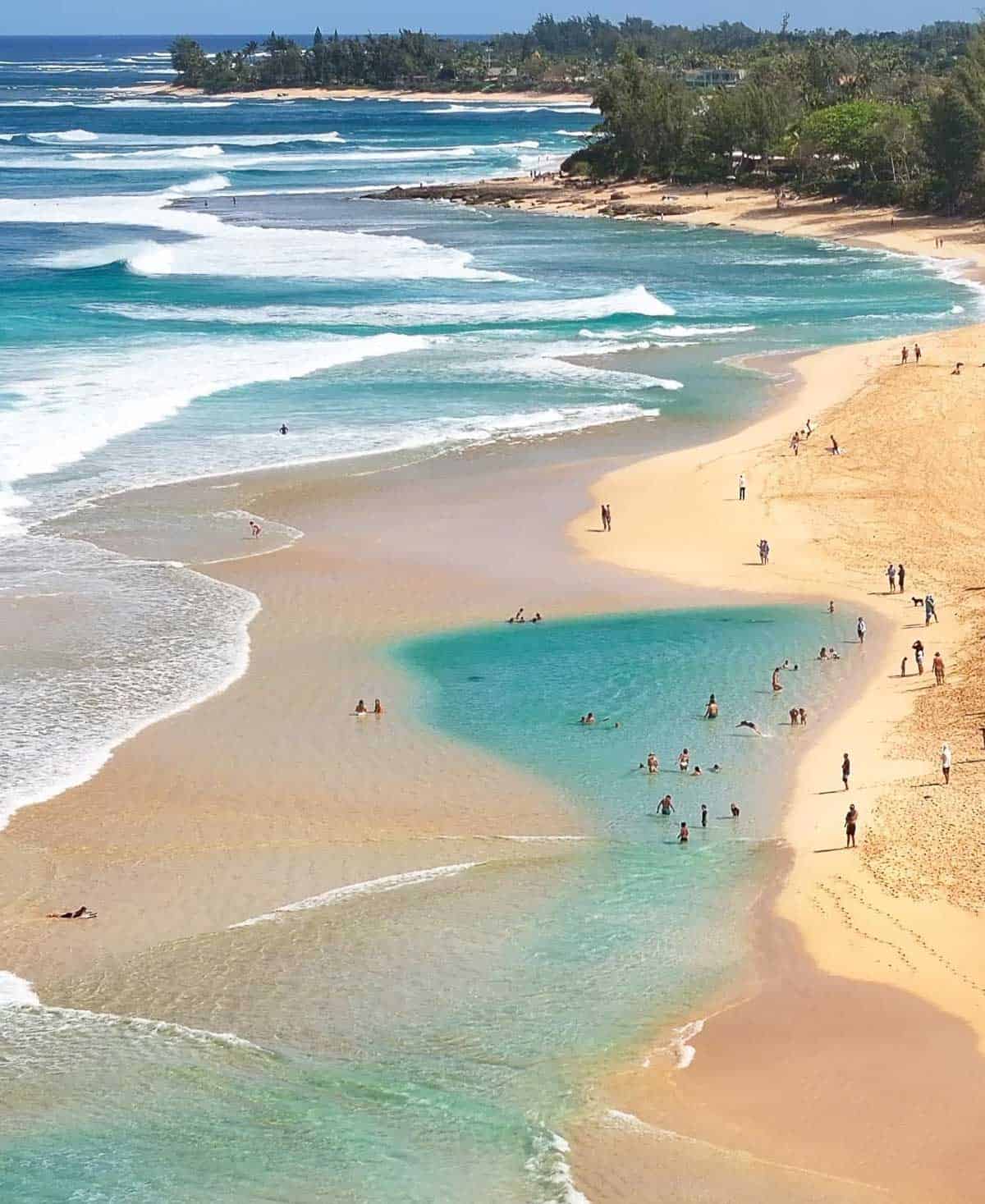Surf Club
